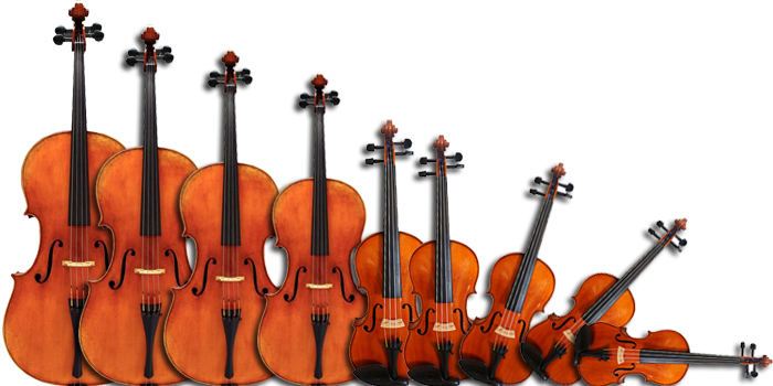 Location de violons - Musicali - Location vente d'instruments de