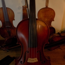 Violon Resuche face